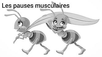 Pauses musculaires 1